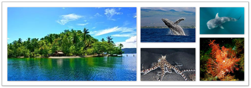 去太平洋上的土著世界潛水吧 | 巴布亞紐幾內亞WiFi上網